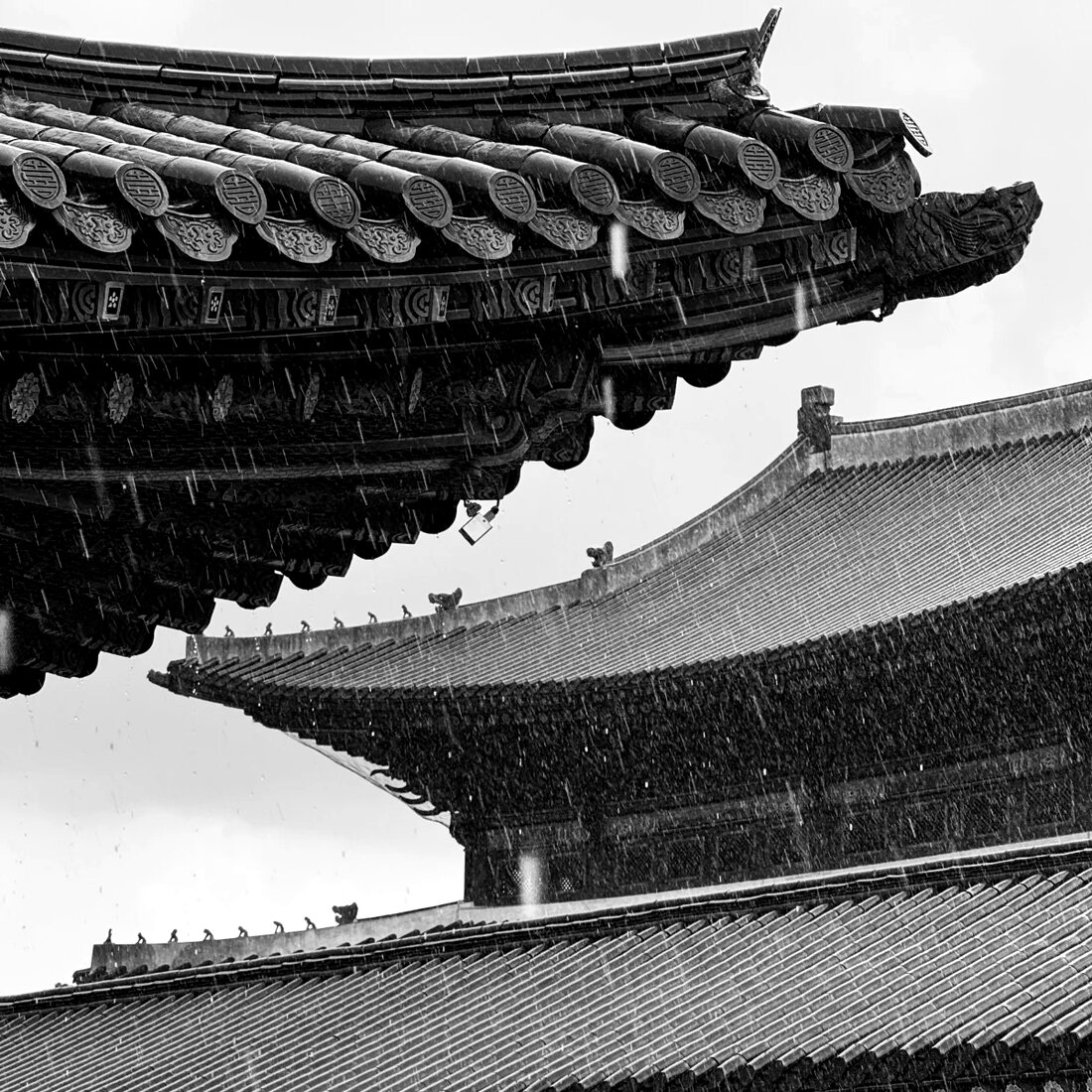 사정전에서 바라본 근정전