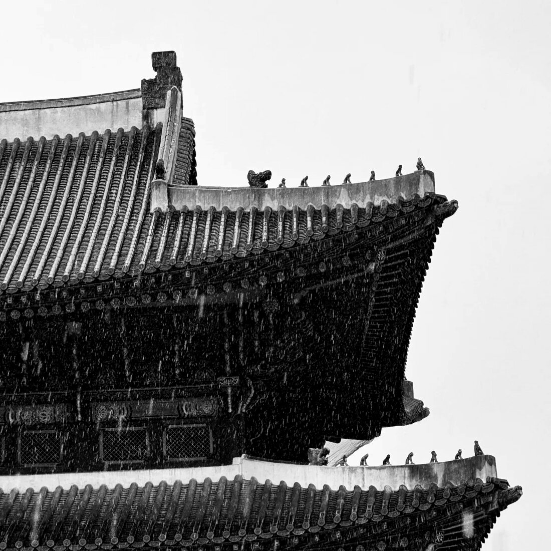 올려다본 처마, 근정전