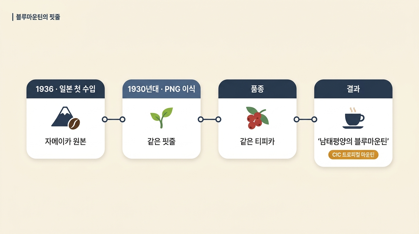 블루마운틴에서 파푸아뉴기니 트로피컬 마운틴으로 이어지는 커피 계보도